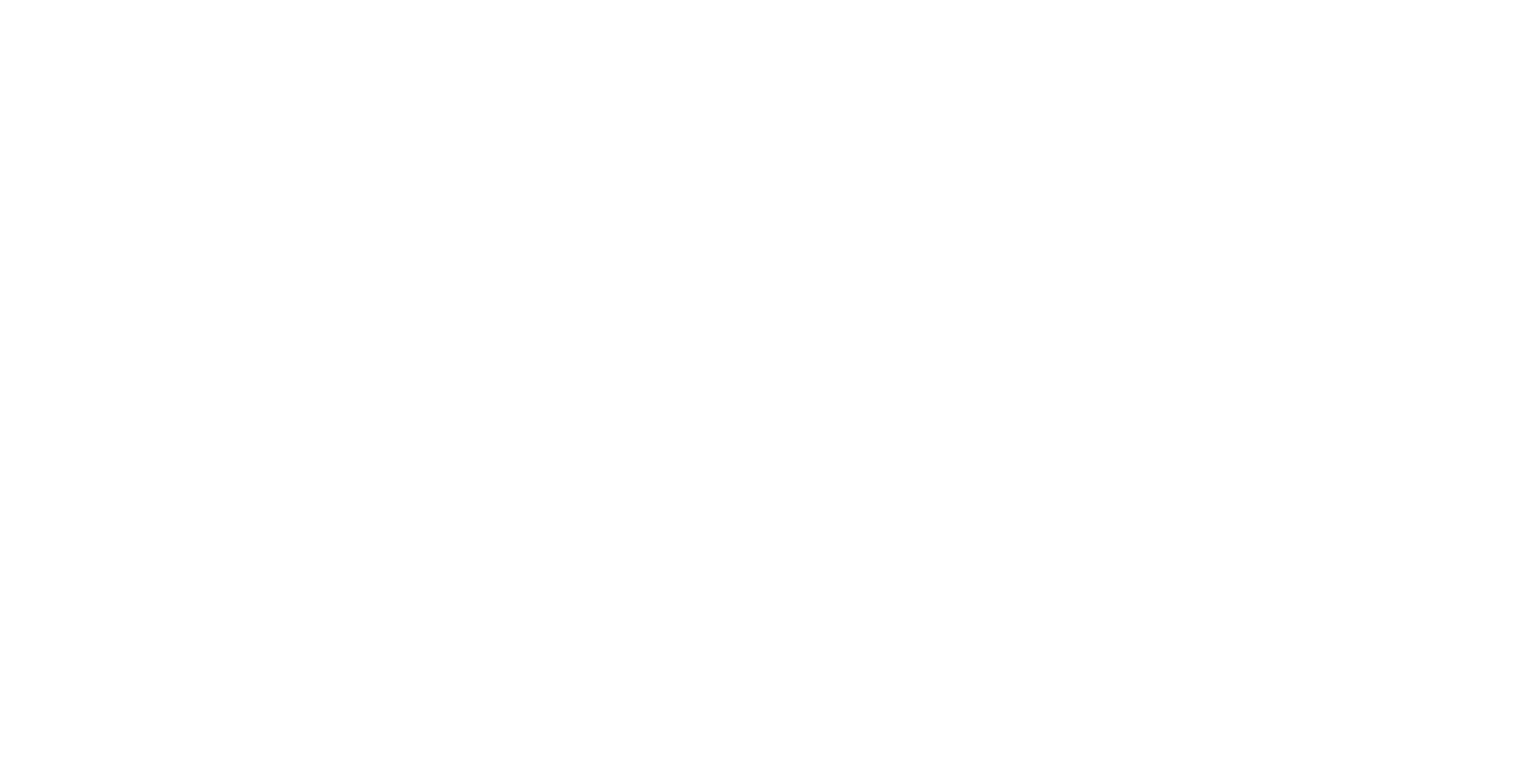 DYNA ARCHITECTURE